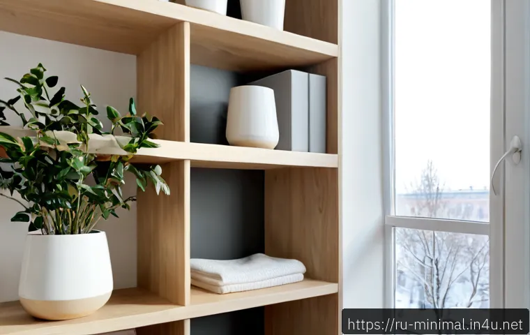 미니멀라이프 물건 정리법 - Photorealistic minimalist apartment in Moscow, an organized pale wood shelf with a small number of n...